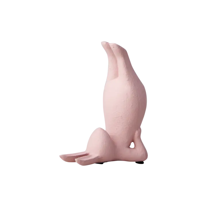 YOGA Kanin, Rosa