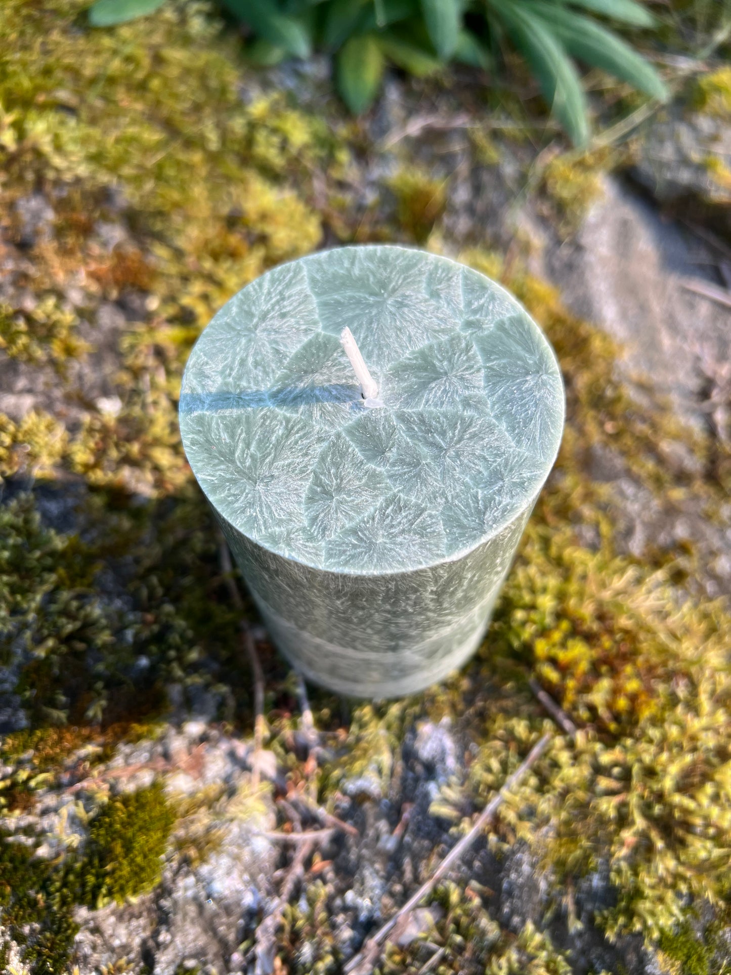 Blockljus Shea (Plant-Based), Gran