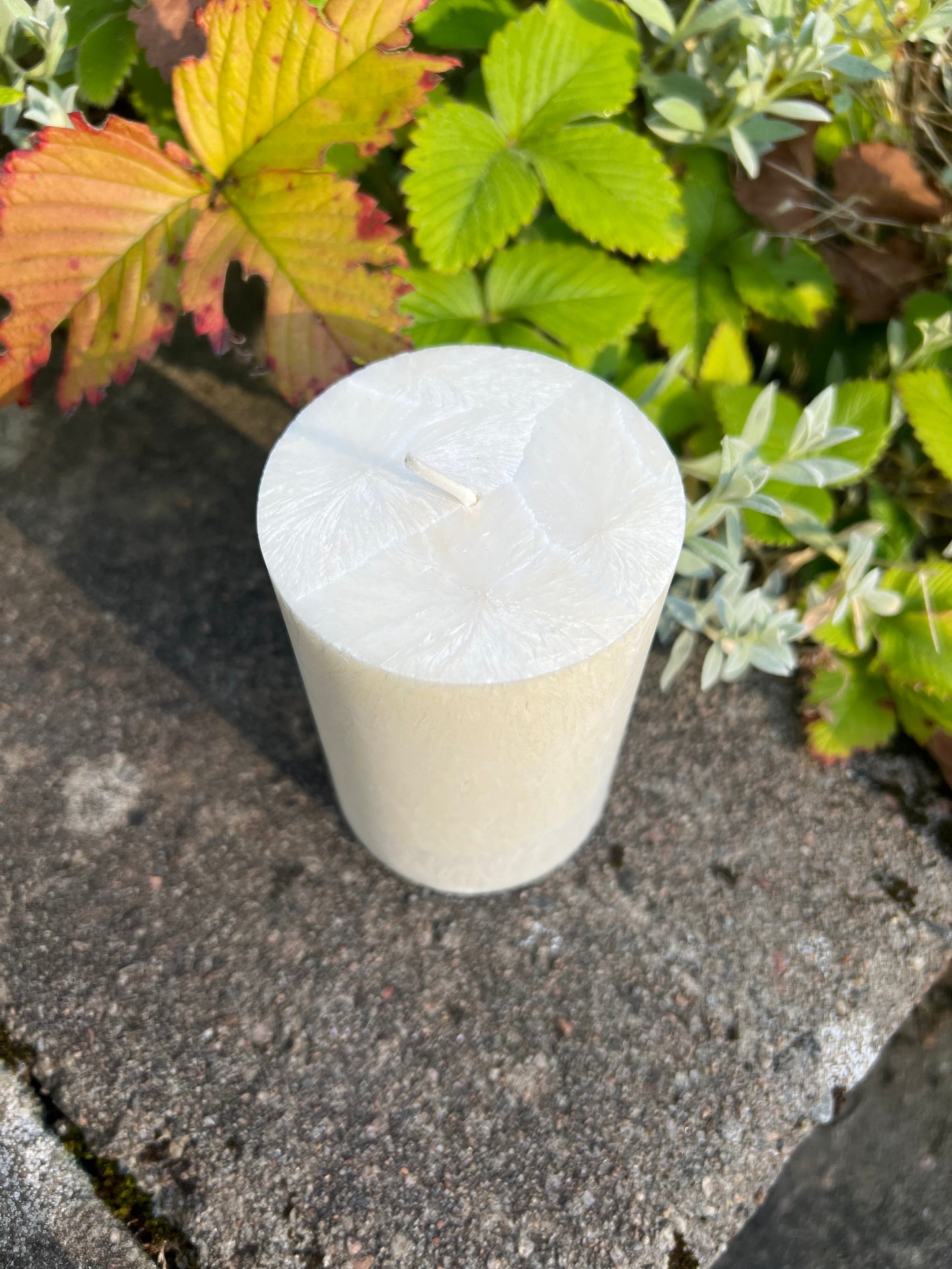 Blockljus Shea (Plant-Based), Vit