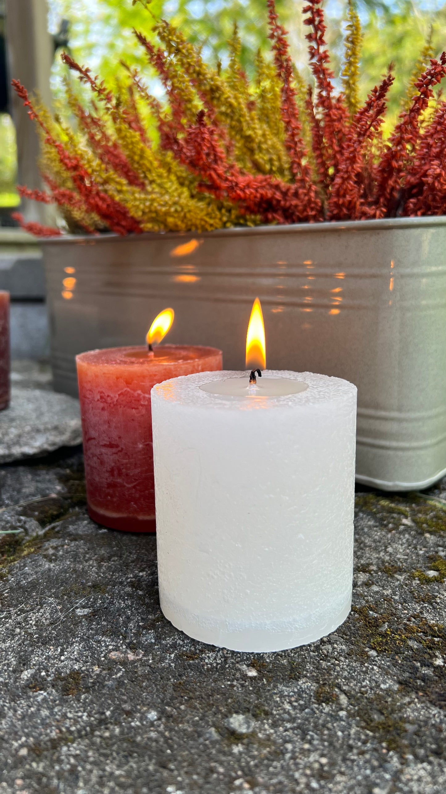 Blockljus Cote Nord, Elfenben